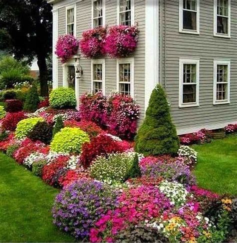 Creating A Beautiful Front Yard With Plants