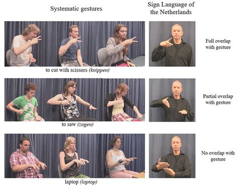 Asl Gesture  Asl Gesture Sign Language Descubre Y Comparte  My