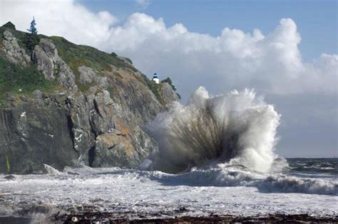 The Giant 200 Foot Wave At Trinidad California Dr Abalone