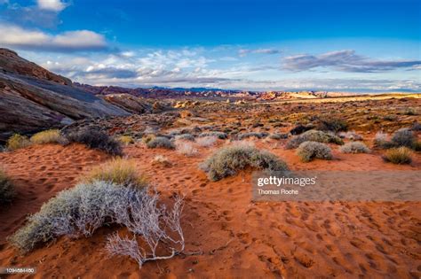 Mojave Desert Landscape In The Afternoon High Res Stock Photo Getty