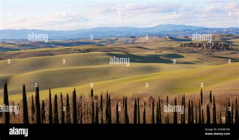 Tuscan Landscape Of Crete Senesi Hills And In A Sunny Day With A Clear