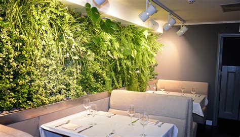 Restaurant Wall Design Plantscape Live