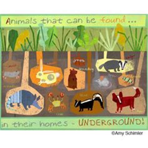 underground animals on Pinterest | Animal Activities, Animals and
