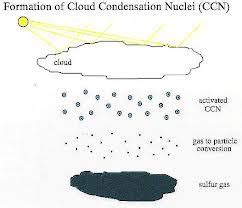 Mentiroso Organo George Bernard Condensation Nuclei Definition Poner