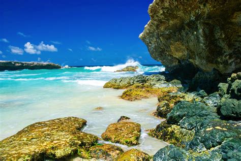 8 Fun Experiences You Need To Have In The Caribbean Island Of Aruba