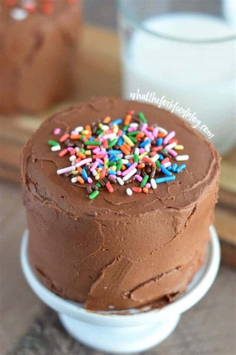This cake is simple, perfectly moist and the homemade chocolate frosting is simply divine! Mini Chocolate Layer Cake Recipe - What the Fork