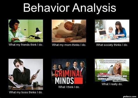 behavior analysis what my perception vs fact picloco
