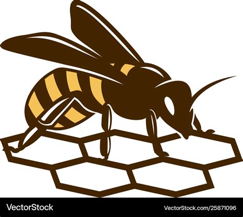 Honey Bee Logo Template Royalty Free Vector Image