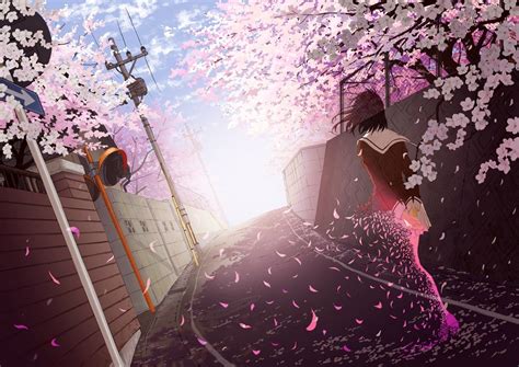 Anime Girls School Uniform Cherry Blossom Wallpapers Hd
