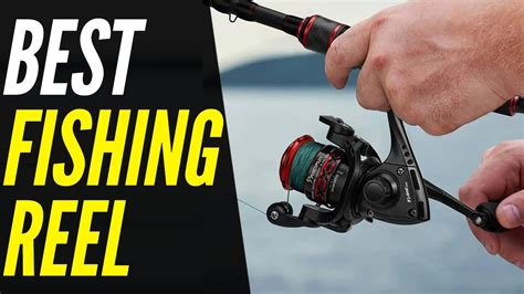 Top 5 Best Fishing Reel 2022 For Pros And Beginners Youtube