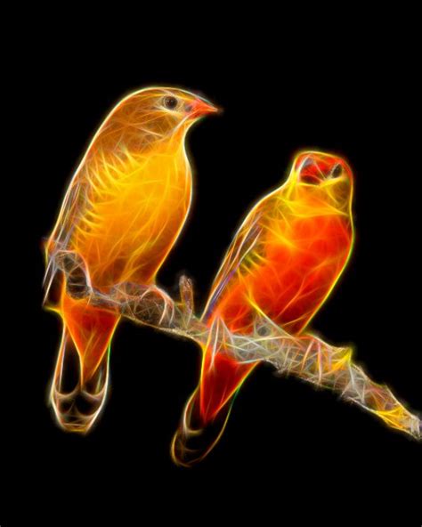Two Birds On Branch Fractal Art By Bob Smerecki Fractal Art