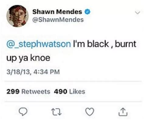 Shawn Mendes Apologises For Racially Insensitive Tweets Ahead Of