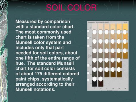 Ppt Understanding Technical Soil Descriptions Powerpoint Presentation