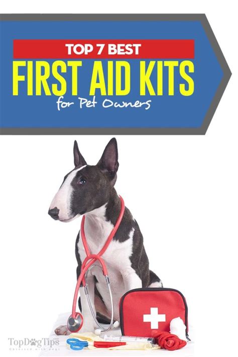 7 Best Dog First Aid Kit Options For Pet Emergencies 2020 Reviews