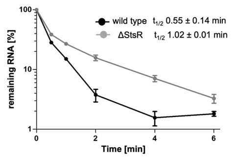 Ijms Free Full Text A Complex Network Of Sigma Factors And Srna