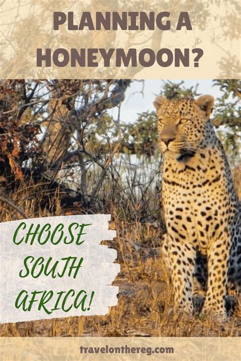 Why A South Africa Honeymoon Is The Best Honeymoon South Africa