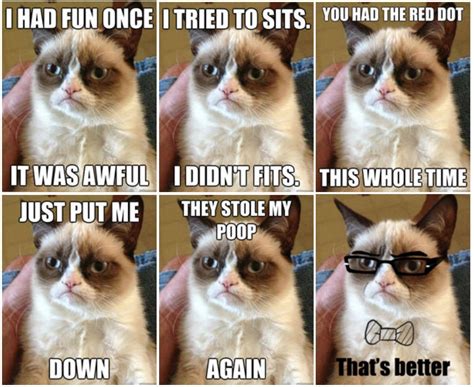 Discover and share the best gifs on tenor. 'Grumpy Cat', One Of The Internet's Most Popular Memes ...