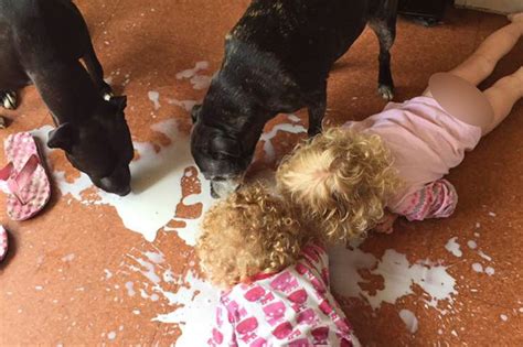 A Mum Put Her Mischievous Daughters Up For Sale After Catching Them Licking Milk Off The Floor
