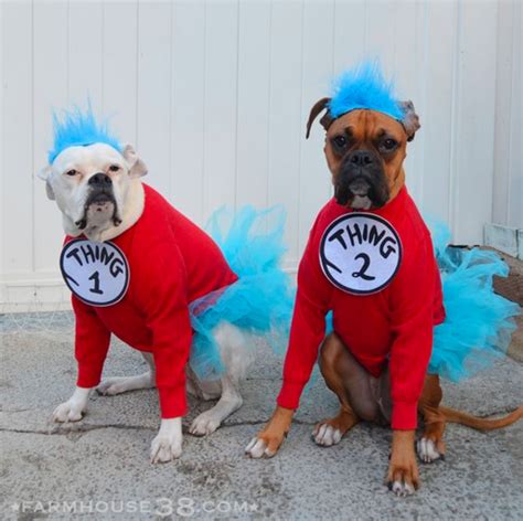 14 Adorable Dogs Dressed Up In Hilarious Halloween Costumes First For