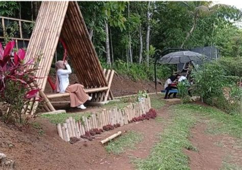 Kampung Teratai Cimaragas Ciamis Jelajahi Indonesia