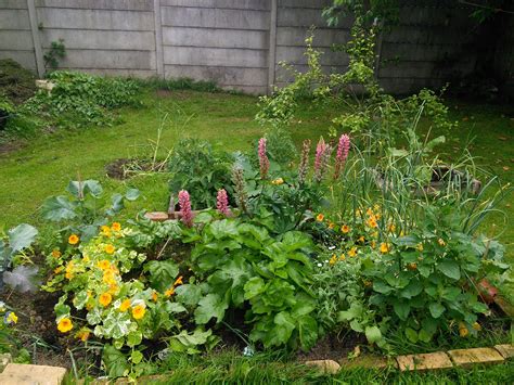 How does your garden grow play. How does your garden grow - featured March garden