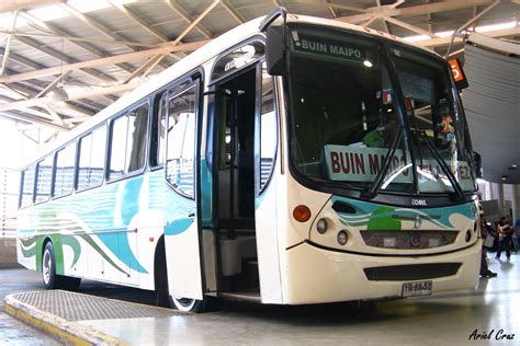Se encuentra en la zona metropolitana de santiago. Viaje por Chile: Cómo llegar al Buin Zoo