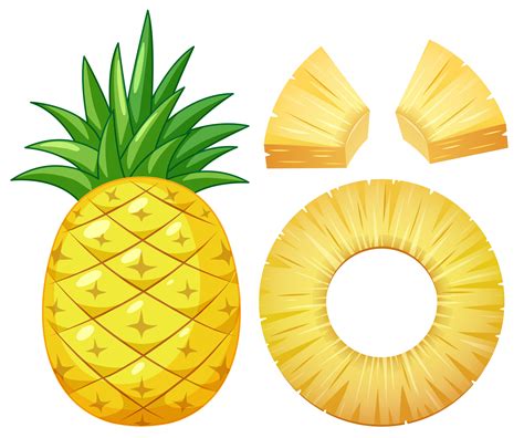 A Pineapple On White Background Download Free Vectors