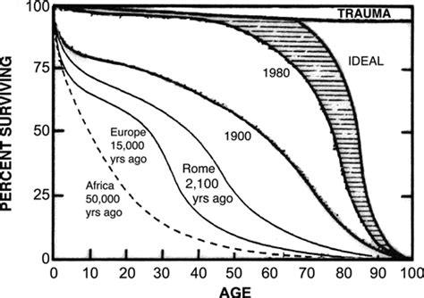 1 Percent Survival Curve For Humans At Different Times In History With