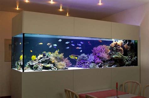 Siéntete Como Pez En El Agua Con Un Acuario En Casa Decoração De