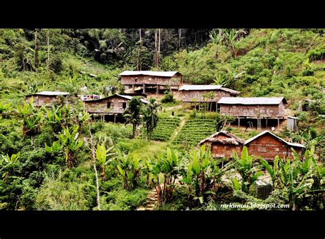 Malaysia's indigenous tribes are trying to lay modern claims to lands their people have lived on for centuries. mrkumai.blogspot.com: Tips Melawat Cameron Highlands ...
