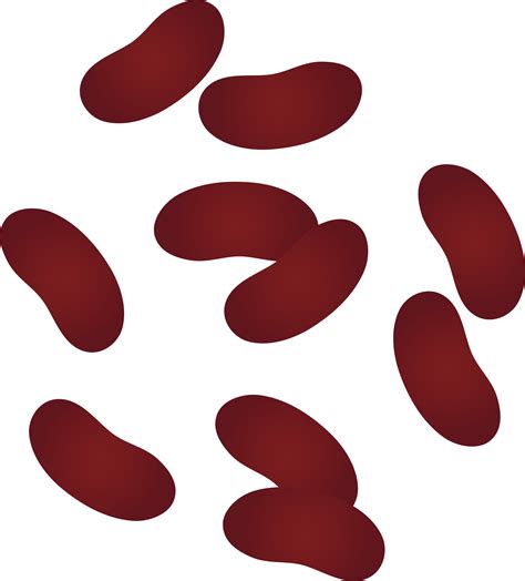 free bean cliparts download free bean cliparts png images free cliparts on clipart library
