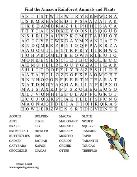 Rainforest Themed Free Printable Word Search Precision Printables