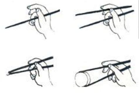 Korean chopsticks typically have sharp tapers. Pin by Paskualina on Chopsticks...MISSION IMPOSSIBLE | Chopsticks, How to hold chopsticks ...