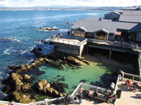 Visit The Monterey Bay Aquarium Hubpages