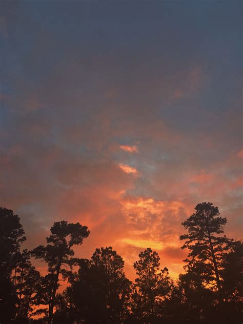 Follow Amidstchaos On Pinterest Sky Aesthetic Sunset Pictures