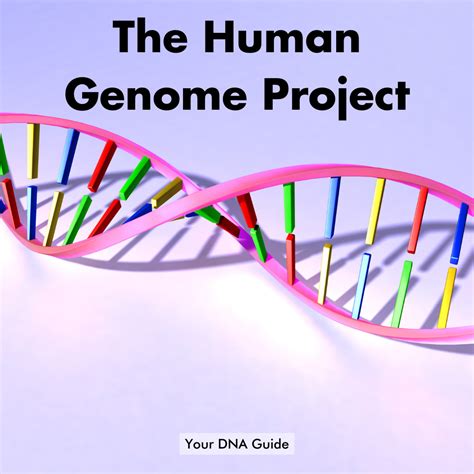 Human Genome Project Your Dna Guide Diahan Southard