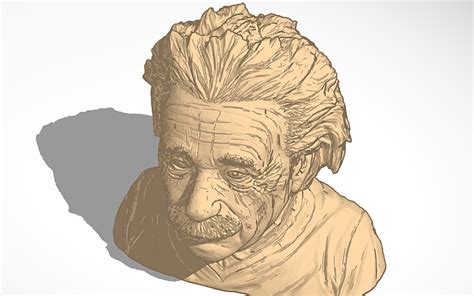 3d Design Albert Einstein Tinkercad