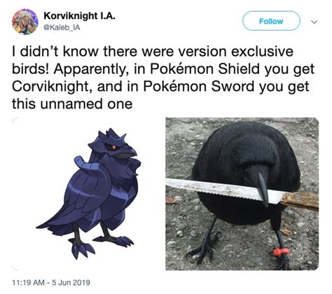 Pokemon Sword And Sheild Memes