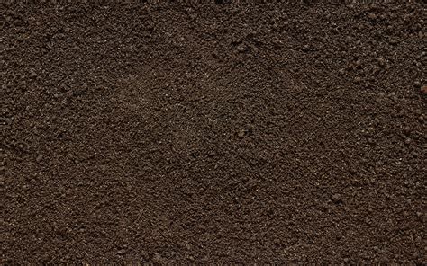 1 Soil Hd Wallpapers Backgrounds Wallpaper Abyss