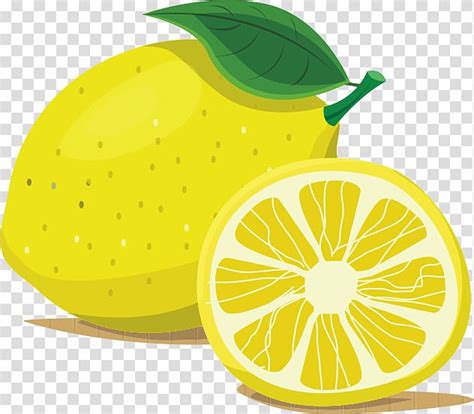 Two Lemon Fruits Illustration Cartoon Lemon Lemon Transparent