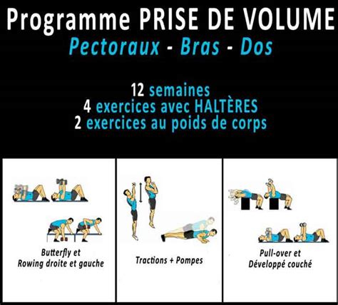 Top12 Exercice De Musculation Haltere Pics Jesuscourse