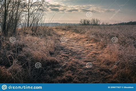 Winter Moring Among Fields Stock Image Image Of Forest 209077927