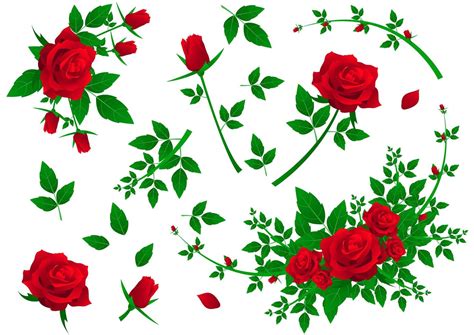 Set Of Red Roses 1266069 Vector Art At Vecteezy
