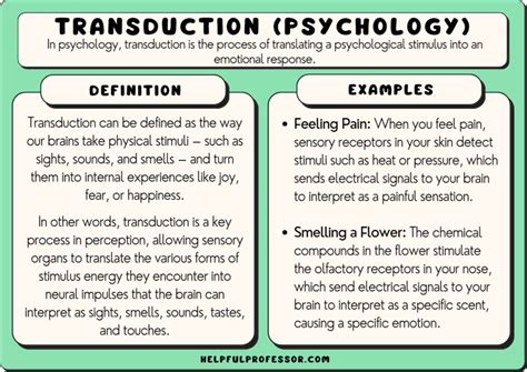 Transduction Psychology 10 Examples And Definition 2024