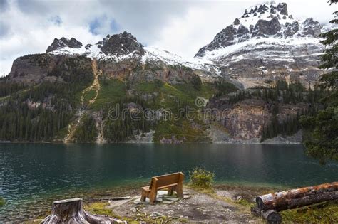 Lake O Hara Rest Bench Yoho National Park Canadian Rocky Mountains