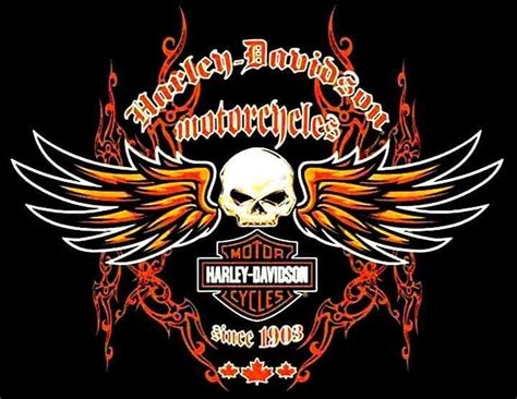 Harley Davidson Skulls Harley Davidson Art Harley Davidson Decals