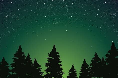 Premium Vector Starry Night Sky Above The Pine Forest Vector Illustration