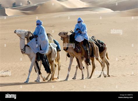 Tuaregs Riding Camels Tuareg Caravan Libyan Arab Jamahiriya Libyan