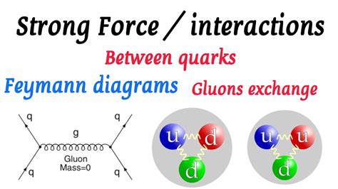 Strong Force Quark Quark Interaction Through Gluons Feymann