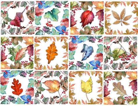 Autumn Leaves Collage Free Stock Photo Public Domain Pictures